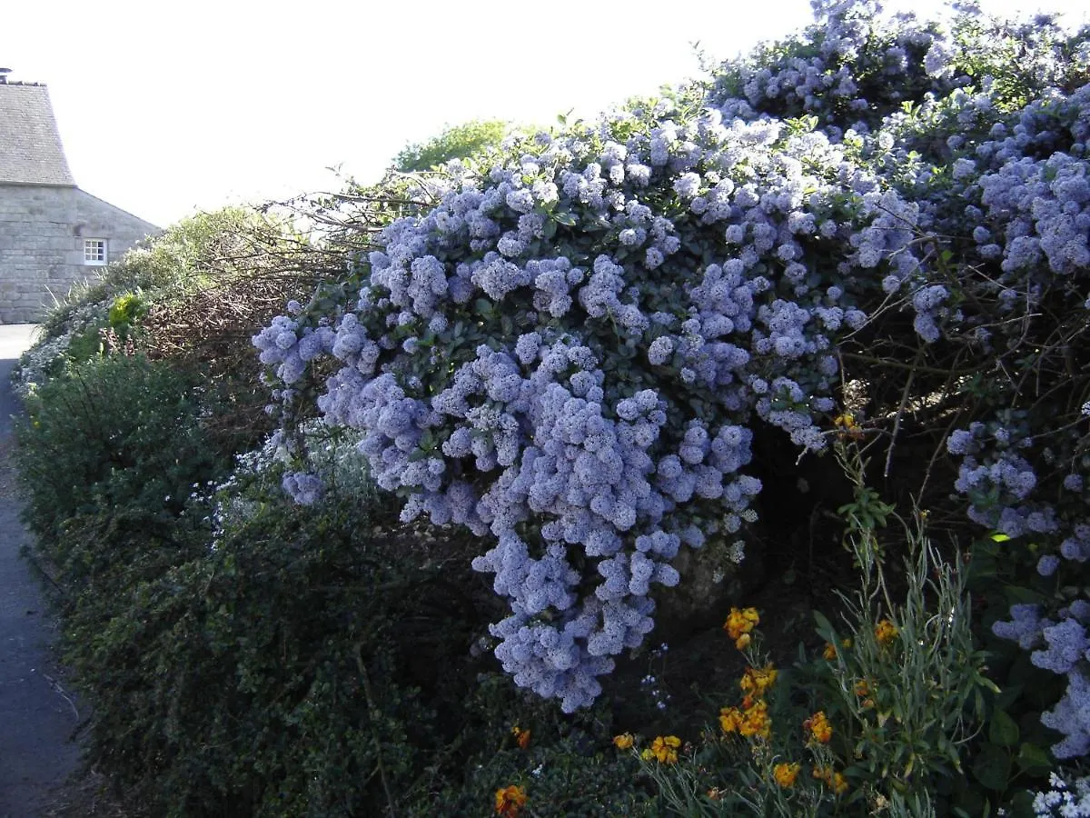 Ty Dreux Entre Terre Et Mer Saint-Thegonnec Loc-Eguiner Bed & Breakfast