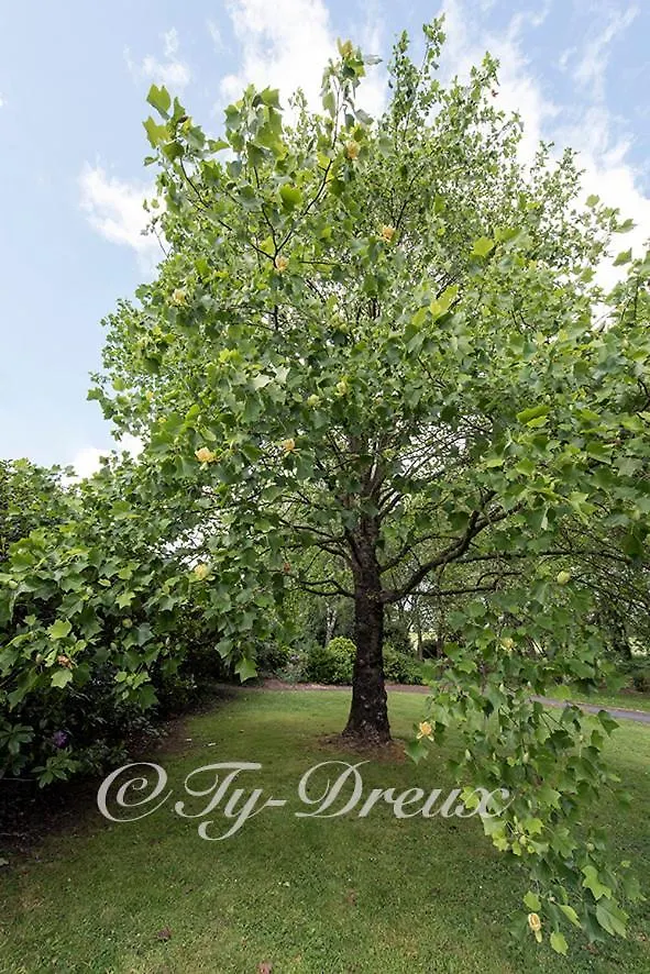 Ty Dreux Entre Terre Et Mer Saint-Thegonnec Loc-Eguiner Bed & Breakfast